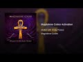 Magdalene Codes Activation