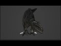 JWD Giganotosaurus Blender Test