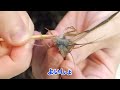 When I lit up the river at NIGHT, I found COUNTLESS…【ENG SUB】