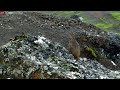 Aug 6, 2024: Rock Ptarmigan spotted on Iceland Volcano Cam