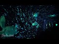 [4K] The Seas with Nemo & Friends - On Ride 2022 - EPCOT - Disney World