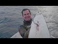 Return to the Arctic - HALIBUT Spearfishing in freezing waters