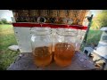 HIVE to JAR | A Flow Hive HONEY Harvest