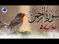 SURAH RAHMAN TARJUMA KE SATH QARI AL SHAIKH ABDUL BASIT ABDUL SAMAD | Ep 018