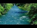 Find peace with river sounds calming forest river