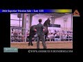 2024 Superior Friesian Sale Highlights