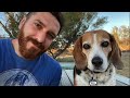 Look What YOU Did! | Update on the Passing of our Beagle (ft. @HumaneSocietyofLincolnCountyRu)