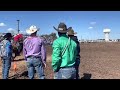 Roping Fiesta - 2022