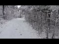 Beautiful wintery fresh snow trails ❤️