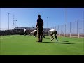 Israeli women soldiers doing fitness training