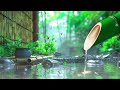 Relaxation Music - Soothing Music With Beautiful Nature Video | Stress Reduction, Studying, Healing