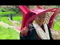 This is Himalayan Life | Rainy Day in Village | Nepal🇳🇵|Ep- 145| Jiree Village |VillageLifeNepal