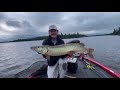 Canadian Summer Musky Fishing!