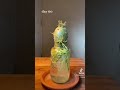 ｢🌿｣ Plants/Herbs Compilation TikTok (#1 ?)