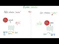 G-Protein & G-Protein-Coupled Receptors (GPCR) | Cell Surface Receptor | Physiology | Endocrinology