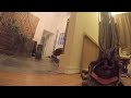 Chip the Border Collie vs  RC cars GoPro