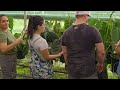 ANTHURIUM TOUR | Silver Krome Gardens • Tezula Plants • TheHomeBodhi 🌱