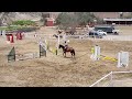 CONCURSO DE SALTO A CABALLO