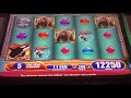 Kodiak Island - Max Bet - 6 Bonuses - Big and Super Big Wins!