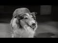 Lassie | The Watch Dog | Full Episodes