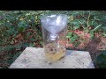 DIY Yellow Jacket Trap - Cheap Easy 2-Liter Bottle Trick - All Natural