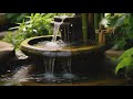 Music of water and bird sounds, Healing Stress, Sleep Well, Anxiety Disorder Medicine, stress