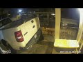 cat stuck on truck tailgate