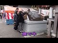 ミニウォーク（文京区）湯島天満宮　湯島天神 気まぐれ雨と梅まつり　2024年2月19日（月）