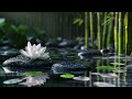 Relaxing Piano Music, Deep Sleeping Music, Meditation Music, Soft Sleep Music