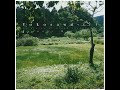 Kiyoshi Mizutani - Yokosawa-iri (Full Album)