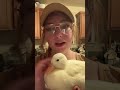 Why do my ducks let me hold them like this?