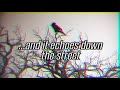 Crows did fly - Janet Cardiff & George Bures Miller (Lyrics inglés y español)