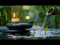6H The sound of nature ASMR💧The sound of flowing water and birds in a bamboo forest🌿Healing sound