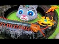 Vlog Rabbit Makes a Colorful Fish Tank, Catches Fish from the Pond to Raise, Crocodile, Duckling