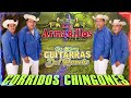 Los Armadillos De La Sierra Mix Exitos Inolvidables — Corridos Chingones — Puras Pá Pistear