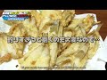 [High sensitivity] How to enjoy Japanese whiting fishing game with Ajing rod