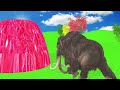 Long Slide Game With Elephant Gorilla Zebra Hippopotamus Tiger - 3d Animal Game - Funny 3d Animals