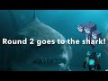 Shark vs wither