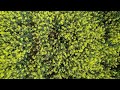 Drohnenshoots mit dji air 2s #4