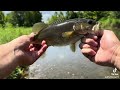 Catching Smallmouth bass