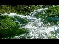 The sound of flowing water helps you heal from the inside to easily fall asleep