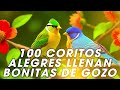 100 Coritos Alegres Llenan Bonitas De Gozo🔥Coros Viejitos Pero Bonitos - Coros Pentecostales