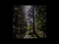 SoundSanctum - Naturalistik