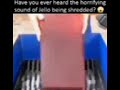 The horrifying sound of jello being shreddered❗❗❗❗❗❗ 🤯😎😎😎💺