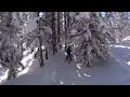 Tree Skiing Steamboat Springs (Alarm Clock Run)