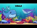 Learn Ocean Animals | Epic Underwater Adventure | Fun Learning Ocean Creatures for Kids in English