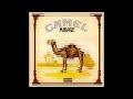 Camel - Freefall