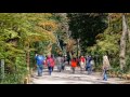 Kawai Shrine   河合神社