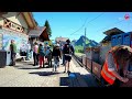 World’s Most Scenic Train Journey in Switzerland _ Schynige Platte , Top of Swiss Tradition