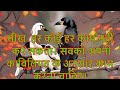 कौआ चला हंस की चाल और अपनी चाल भूल गया | Motivational Story In Hindi | Hindi Stories #new #2d3d #ai